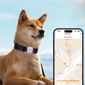 VitalCheck AI Health Monitor